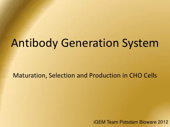 Antibody Generation System  Maturation, Selection and Production in CHO Cells  iGEM Team Potsdam