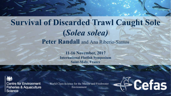 survival of discarded trawl caught sole solea solea