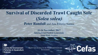 Survival of Discarded Trawl Caught Sole ( Solea solea) Peter Randall and Ana Riberio-Santos  11-16