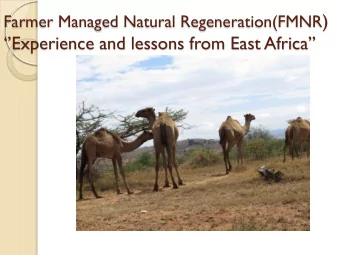 Farmer Managed Natural Regeneration(FMNR ) Experience and lessons from East Africa