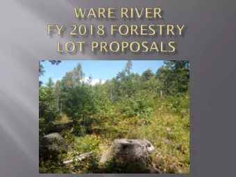 Whitehall Road Lot  This 37 acre lot is  predominately white pine  type with some pitch pine