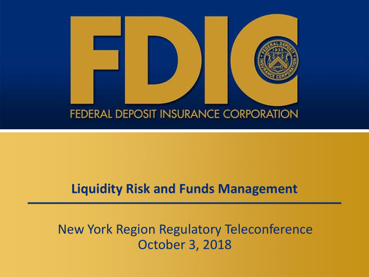 liquidity risk and funds management new york region