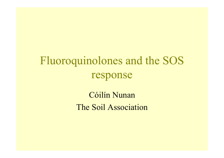 fluoroquinolones and the sos response