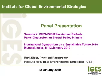 Panel Presentation  Session V: IGES-IGIDR Session on Biofuels  Panel Discussion on Biofuel Policy