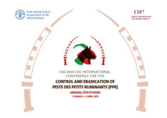 The FAO/ OI E Global PPR  Control and Eradication Strategy  Joseph Dom enech and Eran Raizm an  On