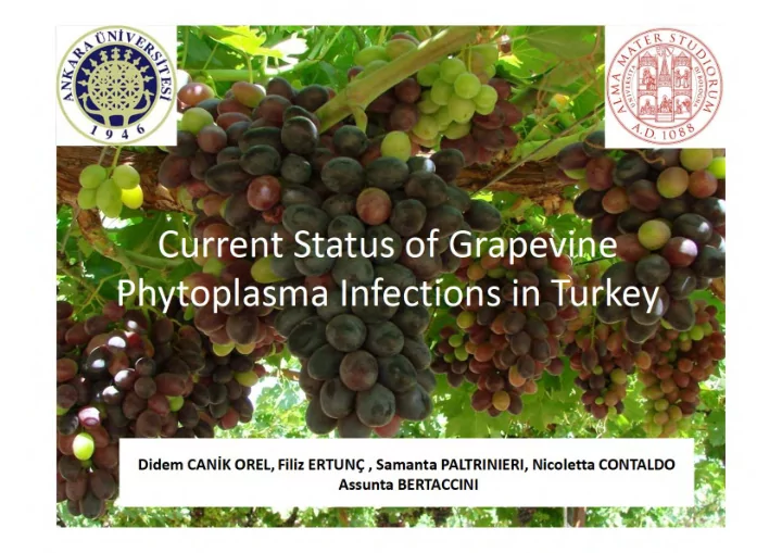 in this research local and foreign imported varieties