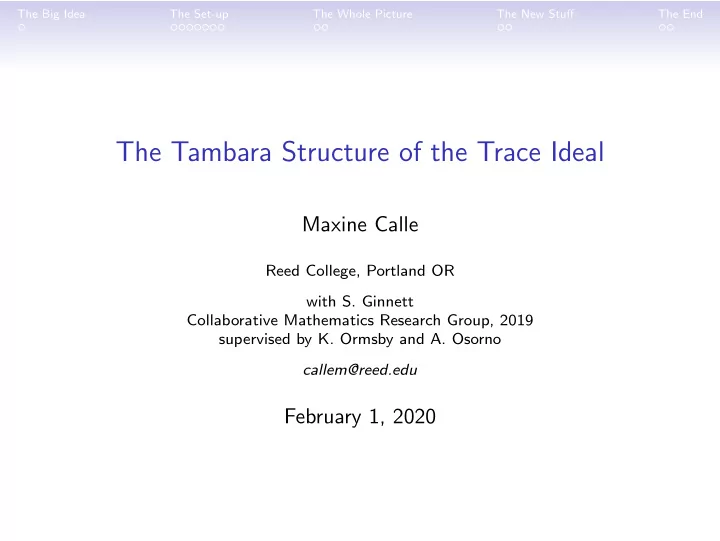 the tambara structure of the trace ideal