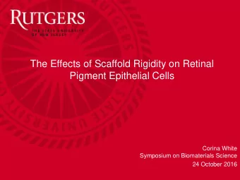 The Effects of Scaffold Rigidity on Retinal  Pigment Epithelial Cells  Corina White  Symposium on