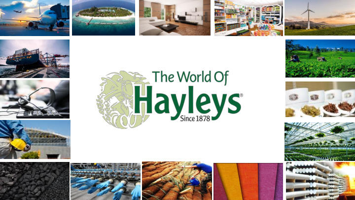 1 hayleys plc group overview