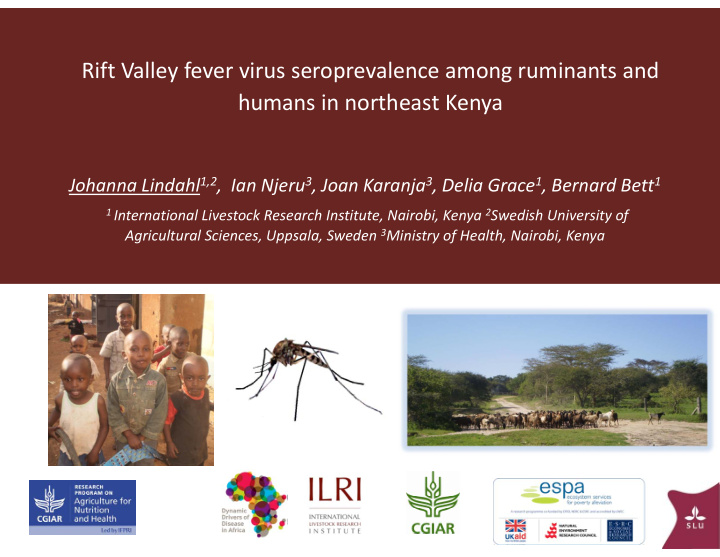 rift valley fever virus seroprevalence among ruminants