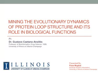 MINING THE EVOLUTIONARY DYNAMICS  OF PROTEIN LOOP STRUCTURE AND ITS  ROLE IN BIOLOGICAL FUNCTIONS