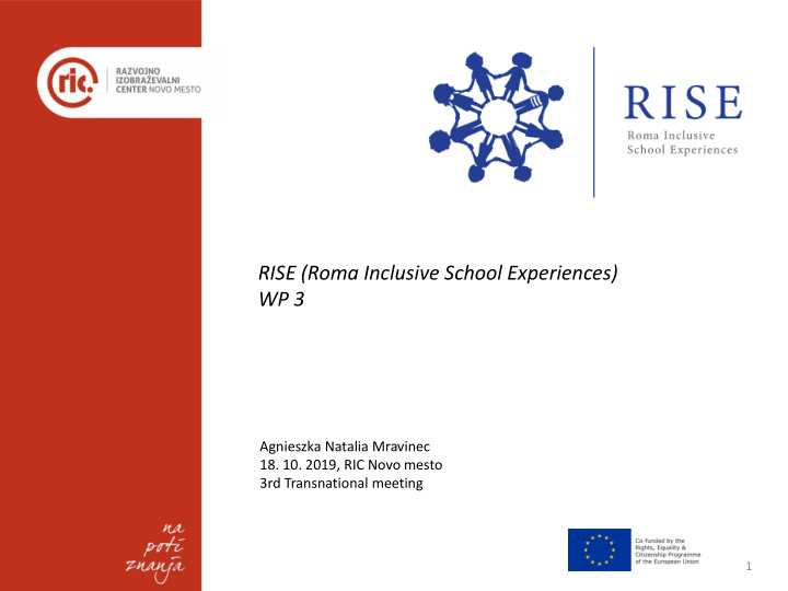 rise roma inclusive school experiences wp 3
