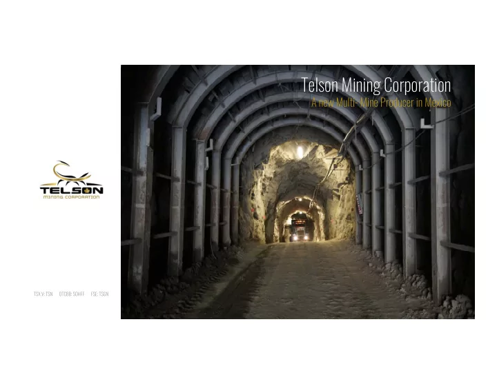 telson mining corporation
