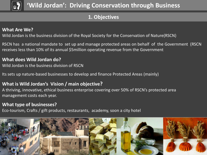 wild jordan driving conservation through business