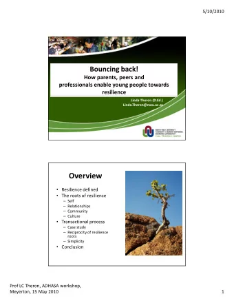 Overview  Resilience defined  The roots of resilience  Self  Relationships