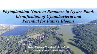 Identification of Cyanobacteria and  Potential for Future Blooms  Kristy Sullivan (Wheaton College,