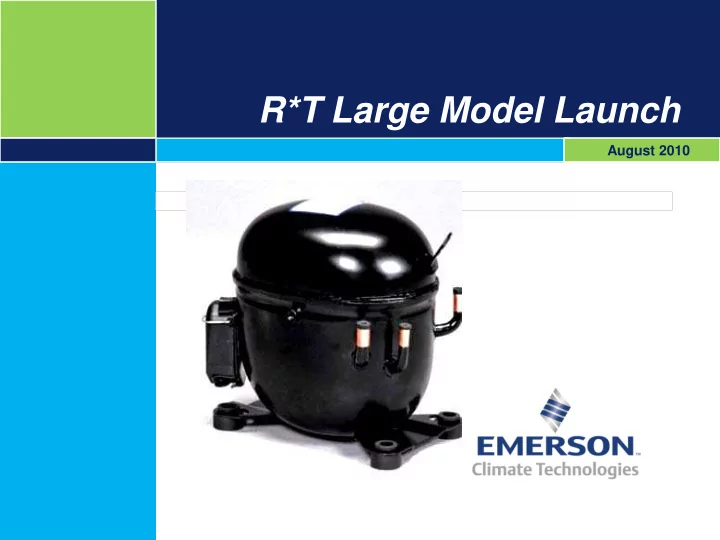 r t large model launch