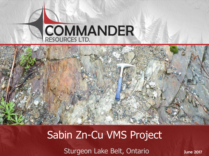 sabin zn cu vms project