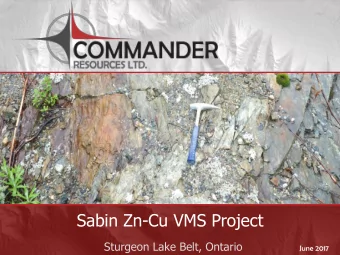 Sabin Zn-Cu VMS Project  Sturgeon Lake Belt, Ontario  June 2017  CORPORATE DISCLOSURE  Disclaimer