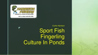 Sport Fish  Fingerling  Culture In Ponds  z  Catfish Production  Spawn in protected areas