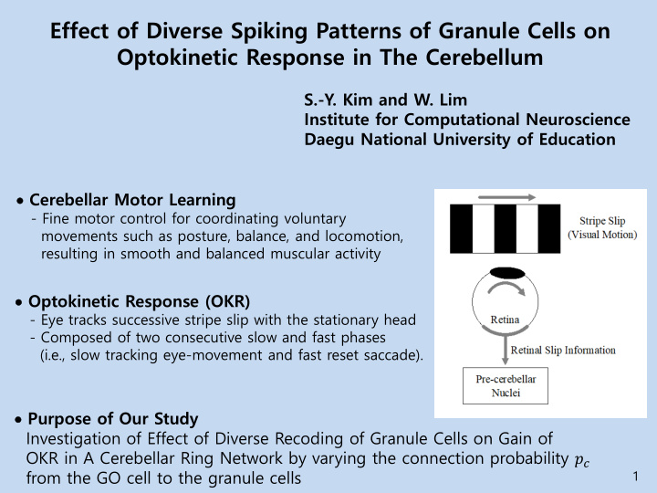 effect of diverse spiking patterns of granule cells on