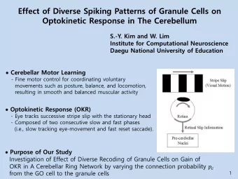 Effect of Diverse Spiking Patterns of Granule Cells on  Optokinetic Response in The Cerebellum