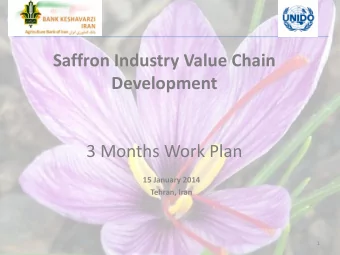 Saffron Industry Value Chain Development  3 Months Work Plan  15 January 2014  Tehran, Iran  1  3