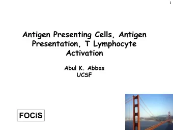 FOCiS 2  Lecture outline  Dendritic cells and antigen presentation  The role of the MHC  T