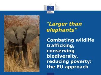 &quot; Larger than  elephants&quot;  Combating wildlife  trafficking,  conserving  biodiversity,