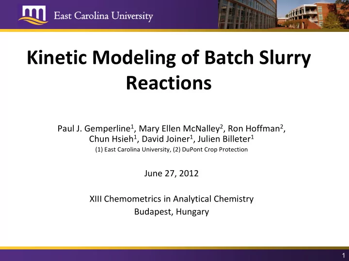 kinetic modeling of batch slurry reactions