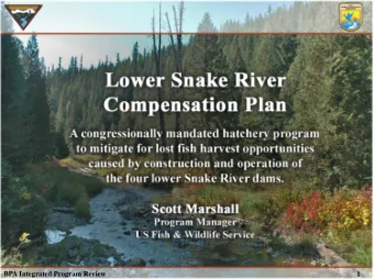 BPA Integrated Program Review  BPA Integrated Program Review  1  1  WHY  Why the Lower Snake River