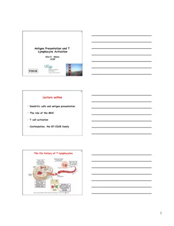 2    10  Why are dendritic cells the most efficient  APCs for initiating immune responses?