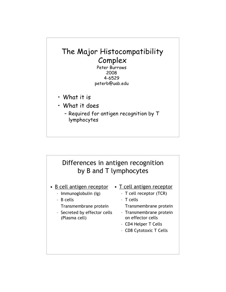 the major histocompatibility complex