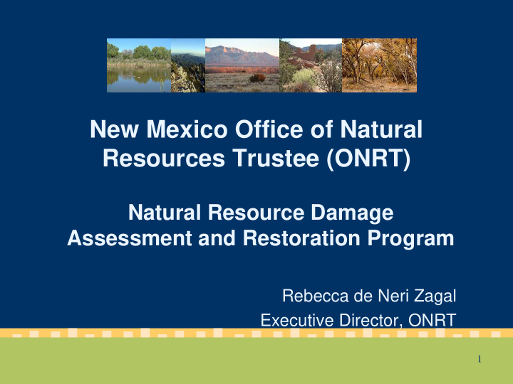 new mexico office of natural