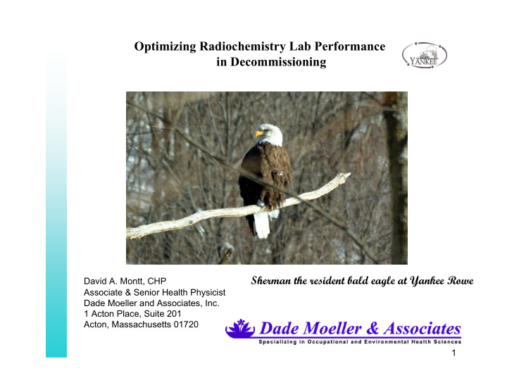 optimizing radiochemistry lab performance in