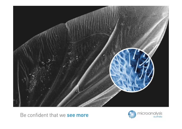 microanalysis australia