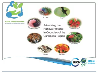 Advancing the NP in the  Caribbean  Exploring Potential Opportunities  The Caribbean Islands and