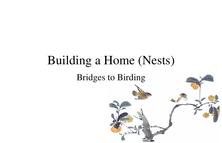building a home nests