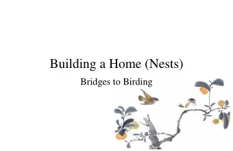 Building a Home (Nests)  Bridges to Birding  Building a Home (Nests)  Learn:  Types of Nests  How
