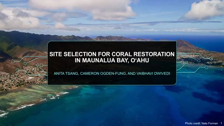 site selection for coral restoration in maunalua bay o ahu
