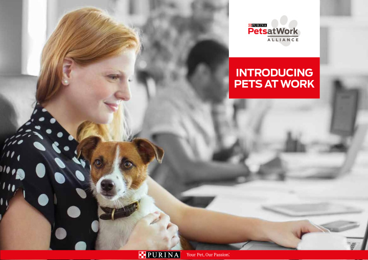 introducing pets at work 1