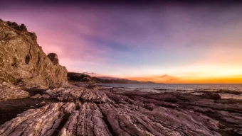 Oral Microbiome  A secret garden with a rabbit hole  Dr Frederik Martin Timmermans BDS MSC  PICTON