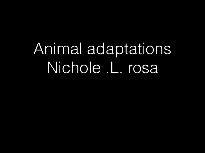animal adaptations nichole l rosa what are adaptations