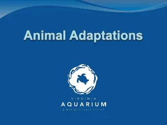 Words to Know  Organism  ganism:  : Any living thing.  How many different organisms are there in