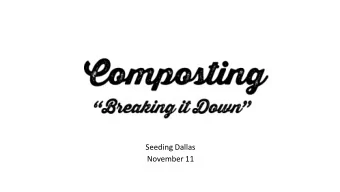 Seeding Dallas  November 11 Nature  Law of Return  Forest Floor  Decomposition  Build