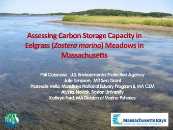 Eelgrass ( Zostera marina ) Meadows in  Massachusetts  Phil Colarusso , U.S. Environmental