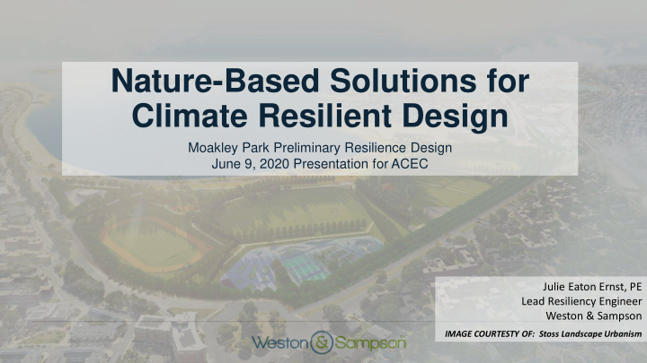 nature based solutions for climate resilient design