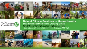 Natural Climate Solutions in Massachusetts  State-Level Forest Carbon in a Changing Climate