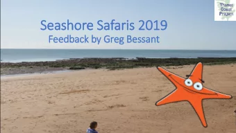 Seashore Safaris 2019  Feedback by Greg Bessant  Seashore Safaris  Minnis Bay  West Bay St