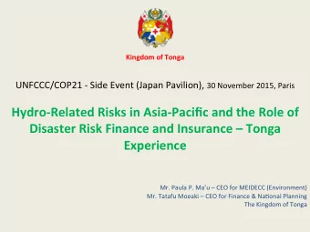 Experience             Mr.  Paula  P.  Mau    CEO  for